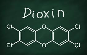 PBT: Dioxin as a Hazard in the PBT Program (Somali) main image